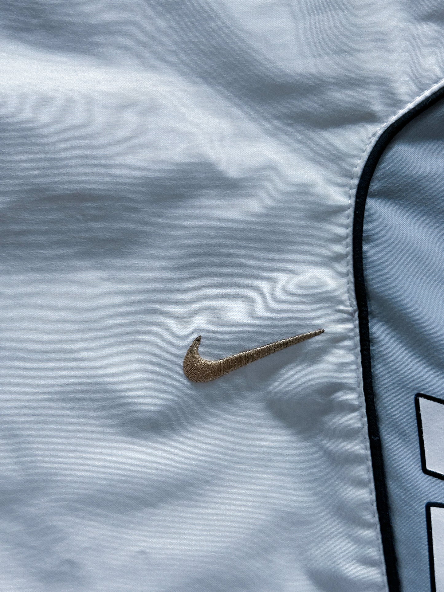 Vintage Nike Shorts | L