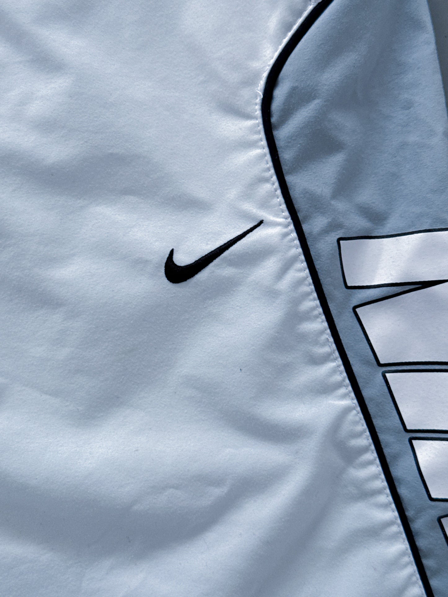 Vintage Nike Shorts | L