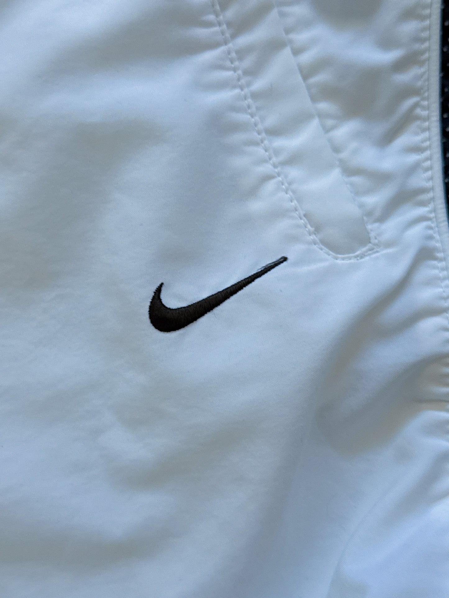 Vintage Nike Shorts | L