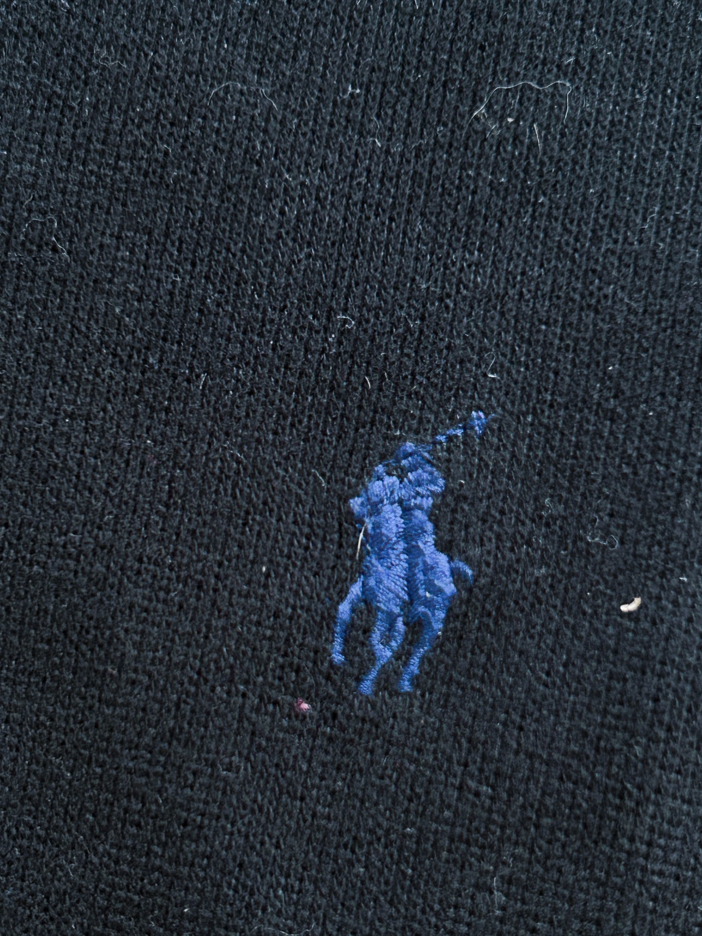 Polo Ralph Lauren Sweatjacke | S